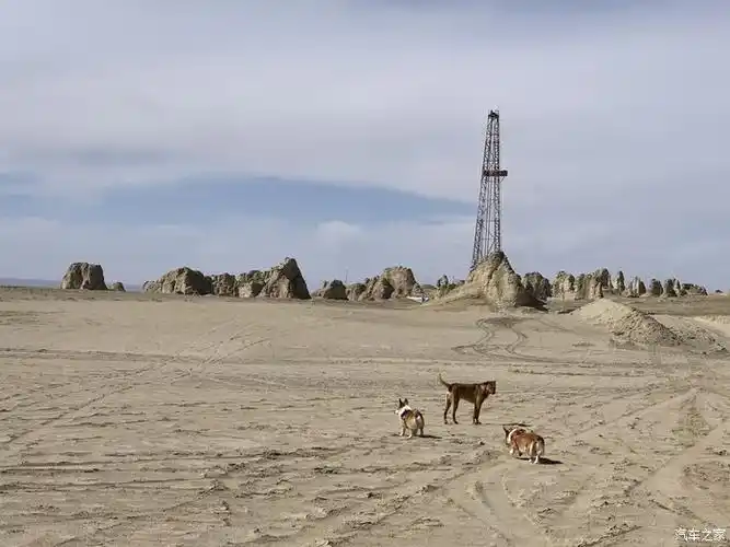 轩辕难忘的阿拉善无人区之旅