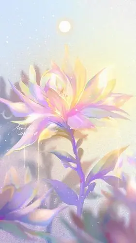 彩虹梦幻少女心壁纸