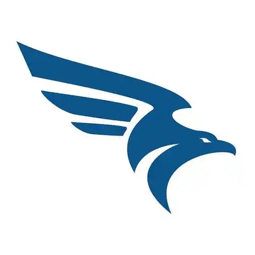 猎鹰,鸟,标识,抽象,设计,模版,飞,鹰,老鹰,概念,象征_高清图片_全景