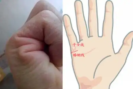 【图】从手相怎么看几个孩子 预知命里子女