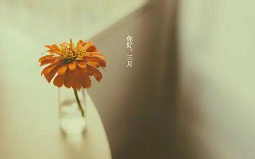 绿色小清新壁纸简约文字