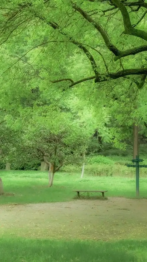 唯美仙境花园绿色系ins壁纸