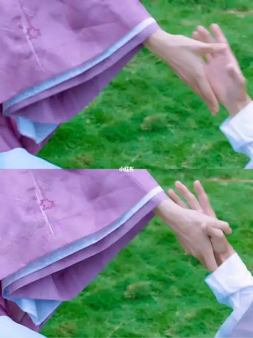 昨晚叶白衣海扁温客行和周子舒之时,子舒舍命相互的之时对叶白衣说