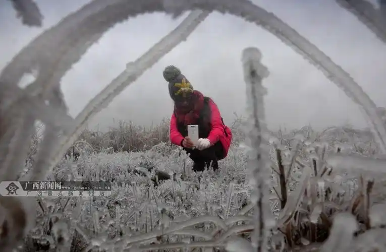 高清:三江高寒地区冰层结厚 美丽冰挂引摄友狂拍(4/12)