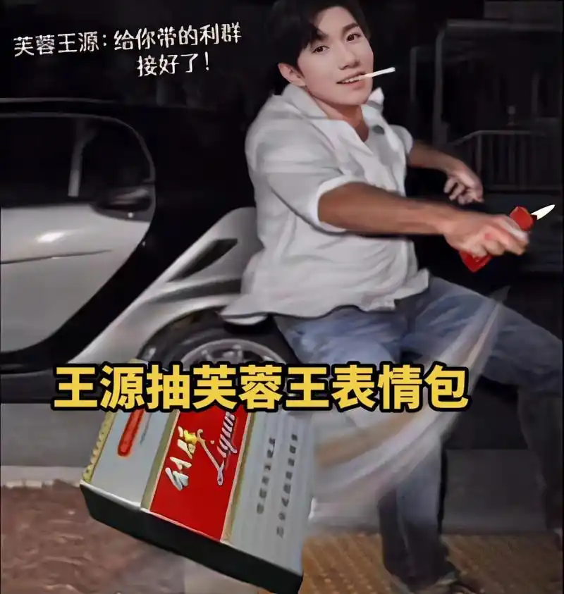 王源抽芙蓉王表情包.#芙蓉王源 #表情包 #精神状态beli - 抖音