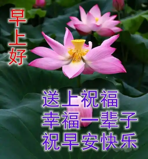 8张漂亮夏日风景早安图片带字带祝福语免打字聊天的早上好问候祝福语