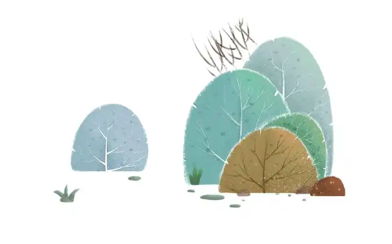 植物练习|插画|儿童插画|14铅笔 - 临摹作品 - 站酷 (zcool)