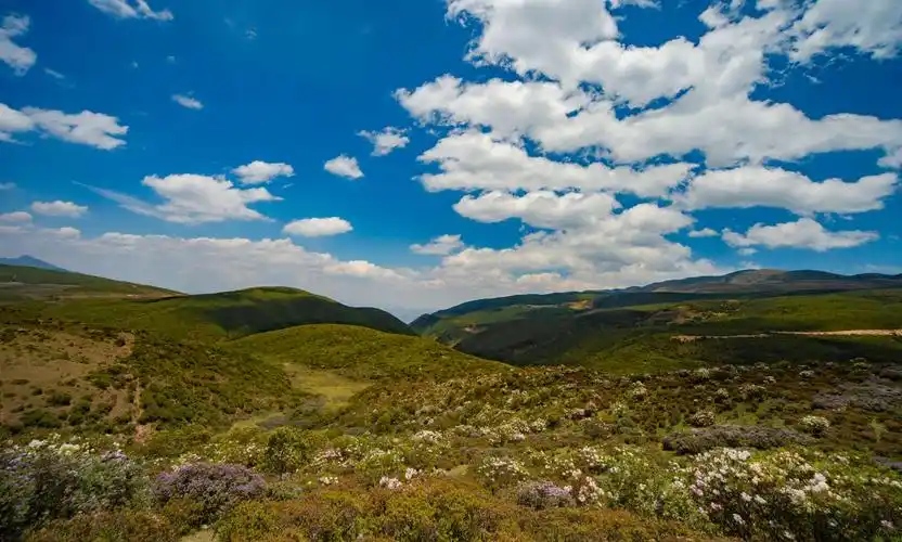 大凉山布拖县美丽的草原风光