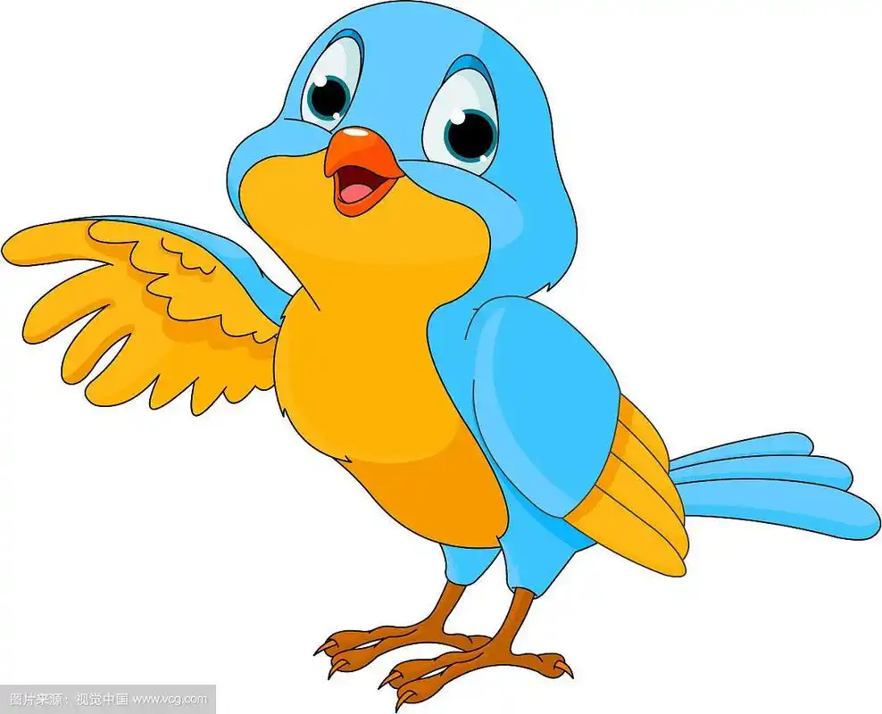 可爱的卡通鸟