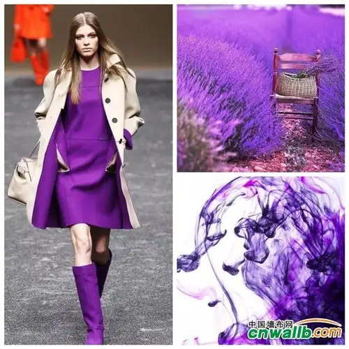 高级灰 紫色,雅菲透过沉静缔造品质生活