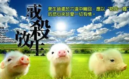 杀生杀生是什么意思杀生的果报是什么