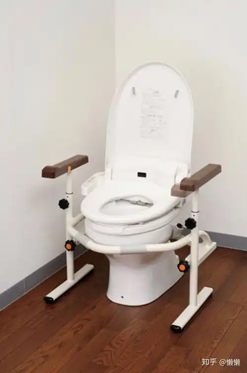 滑动扶手对于身体虚弱或肠胃不好的老人,这款双扶手设计的马桶座架