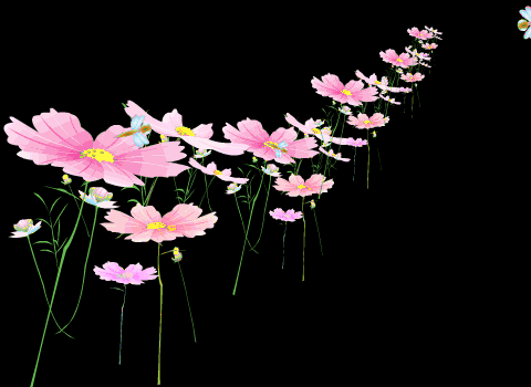 flash转换的gif透明素材(四) - 蓉儿 - 蓉儿博客