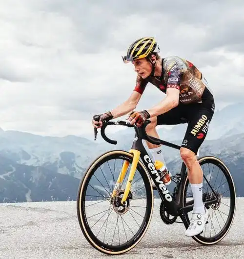 世界上最快的自行车是什么(带你了解最快的公路车)-秒懂啦