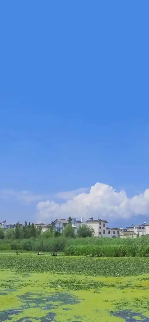 温柔系背景图朋友圈治愈系,优质温柔治愈系背景图(治愈蓝色系壁纸