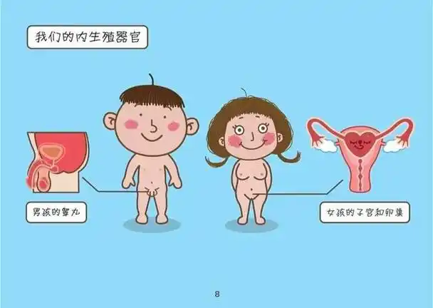 儿童中期(7-12岁)孩子进入了小学阶段,开始接受更多关于性的信息和