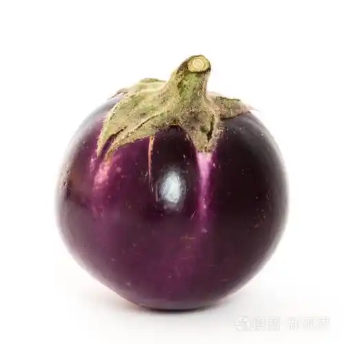 摄影棚拍摄单一有机紫罗兰圆形泰国茄子孤立在白色