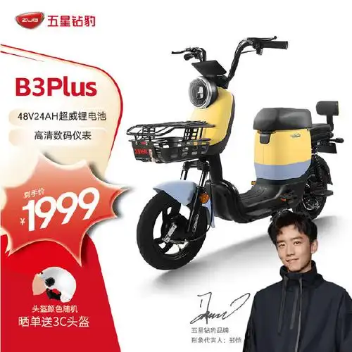 【1999】五星钻豹电动车48v24ah锂电池电瓶车,用的超威电池.