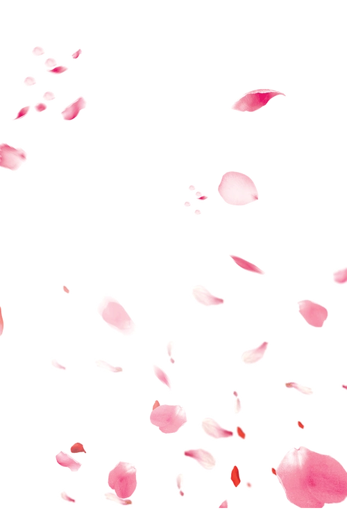 桃花花瓣装饰背景素材