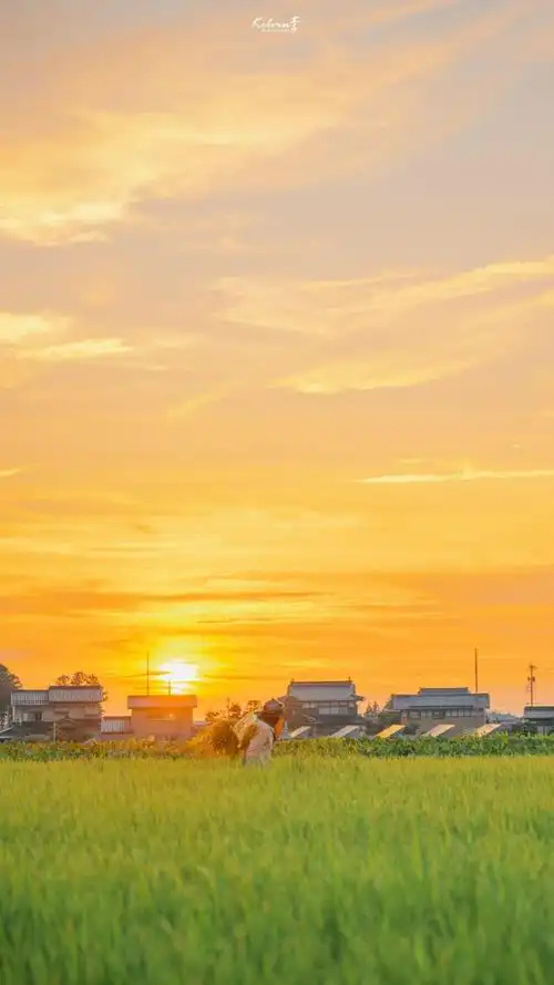 堤坝上有兜卖风筝的小贩他们在预售春天 cr:@kelvin李风景壁纸/锁屏