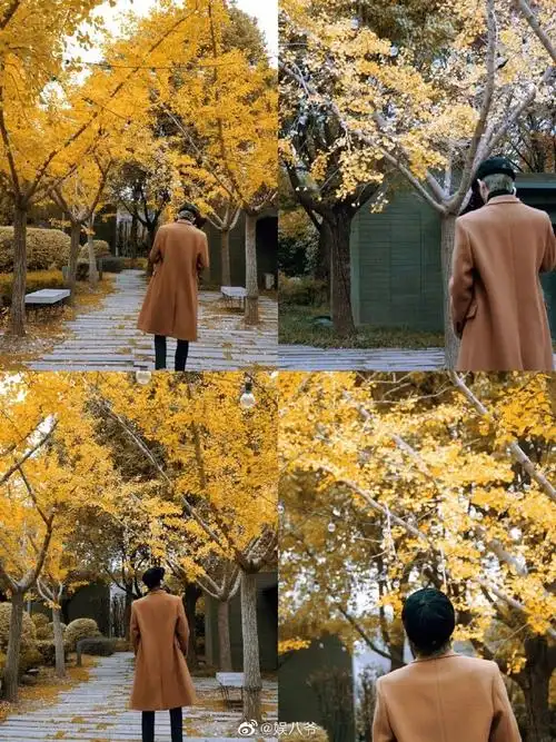 林彦俊晒背影随拍