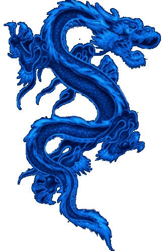 351_536竖版 竖屏gif 动态图 动图