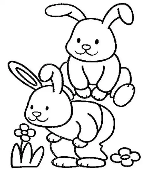 动物简笔画小兔子的画法大全蘑菇简笔画绘画简单适合初级画画用来学习