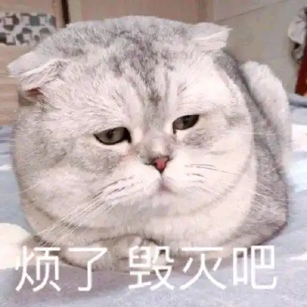 烦了毁灭吧(猫咪表情包)_猫咪_毁灭表情