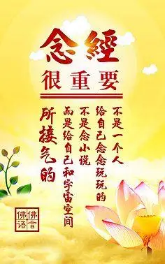 佛言佛语专辑一-花瓣网|陪你做生活的设计师 | 韵,唯美,花,佛,禅,心灵