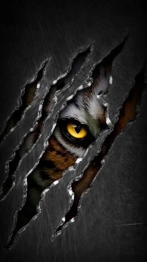 本文关键词:霸气壁纸,霸气壁纸女生超拽冷酷,霸气壁纸男生超拽冷酷