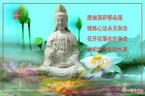 愿做菩萨那朵莲