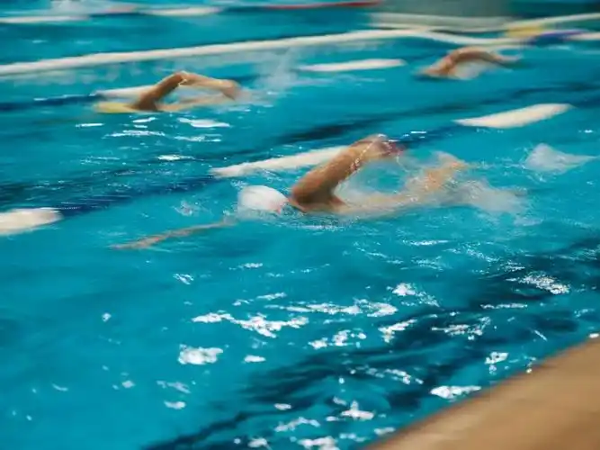 游泳教练洛垚家与他的龙之队