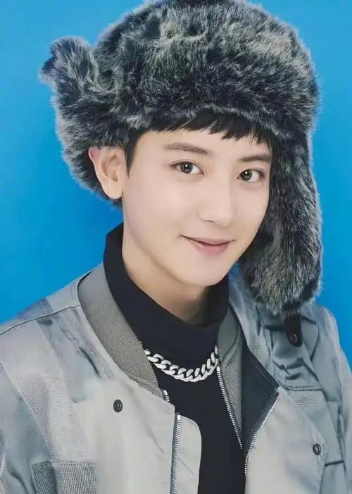 朴灿烈内地新年刊画报