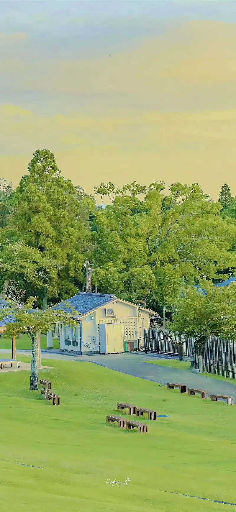 高清图片 #手机墙纸 #绿色 绿色系壁纸,清新自然壁纸,锁 - 抖音