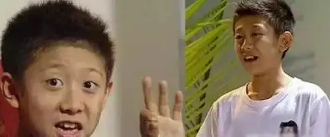 不管是承包《家有儿女》笑点的夏冰雹神童刘星,还是如今的戏精张一山