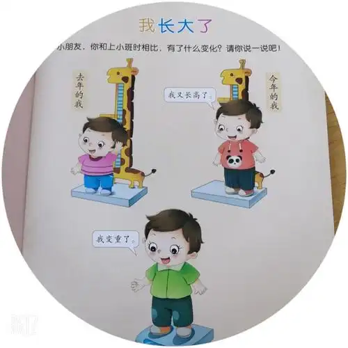 晨宏幼儿园中班本周所学