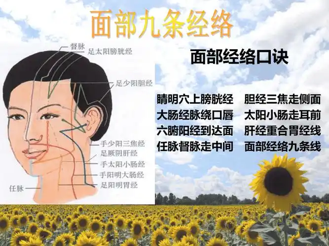 面部经络与诊断pptppt