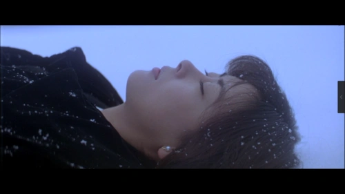 昨天我看了一部95年的老电影——《情书》,导演是岩井俊二.