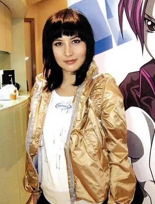 姓何的十位女明星其中有一位是李嘉欣老公的前任妻子