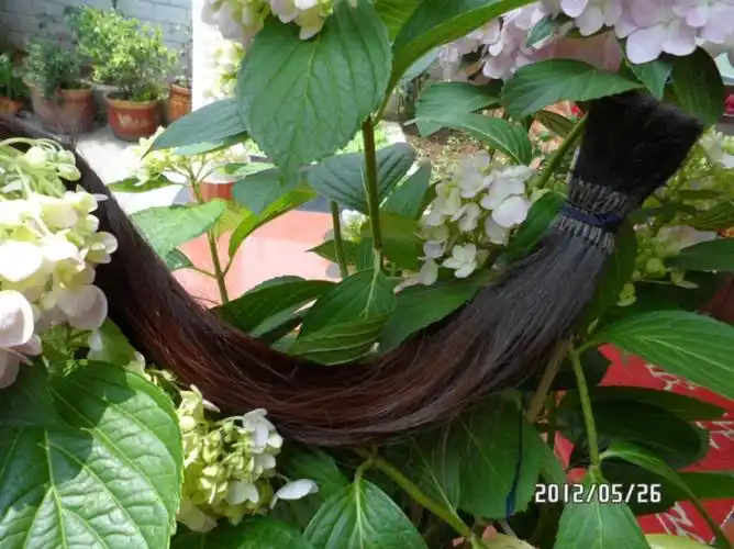 晒晒我的长发藏品22