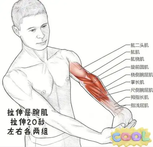 说自己手指形状不好看 ,我先进行了评估 ,看看是不是肌肉紧张的原因