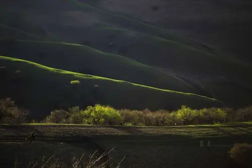 搜索"大西"共找到43个结果