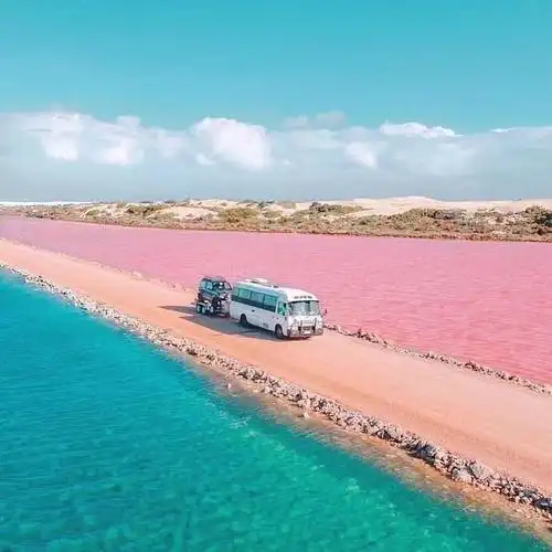 粉色梦幻海滩——科莫多