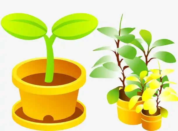 关键词 : 手绘盆栽,小绿芽,盆景,卡通手绘,黄色[声明] 觅元素所有素材