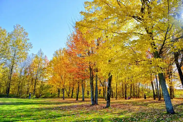 忆·秋日扫黄②