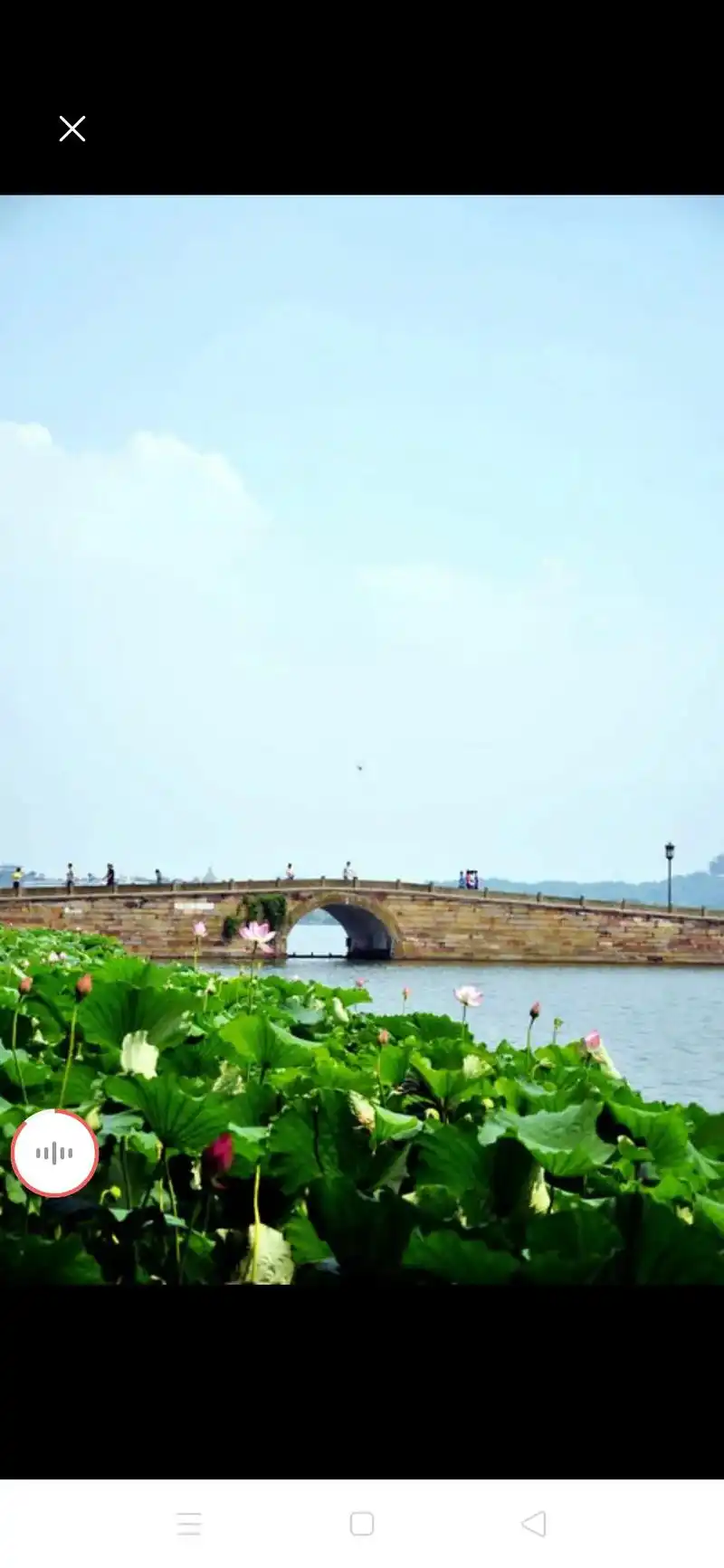 西湖断桥:由此桥发生的许多故事,传说许仙和白素贞在此断桥相遇 - 抖