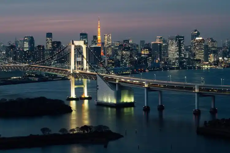 日本的传统与现代8发布时间:2016-08-29 东京湾夜景 标签 微博评论