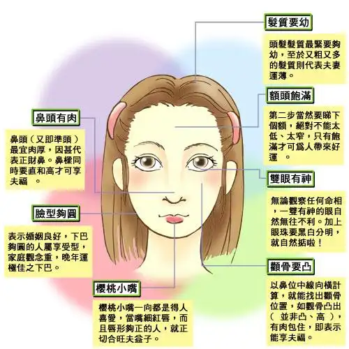 旺夫女人面相示意图