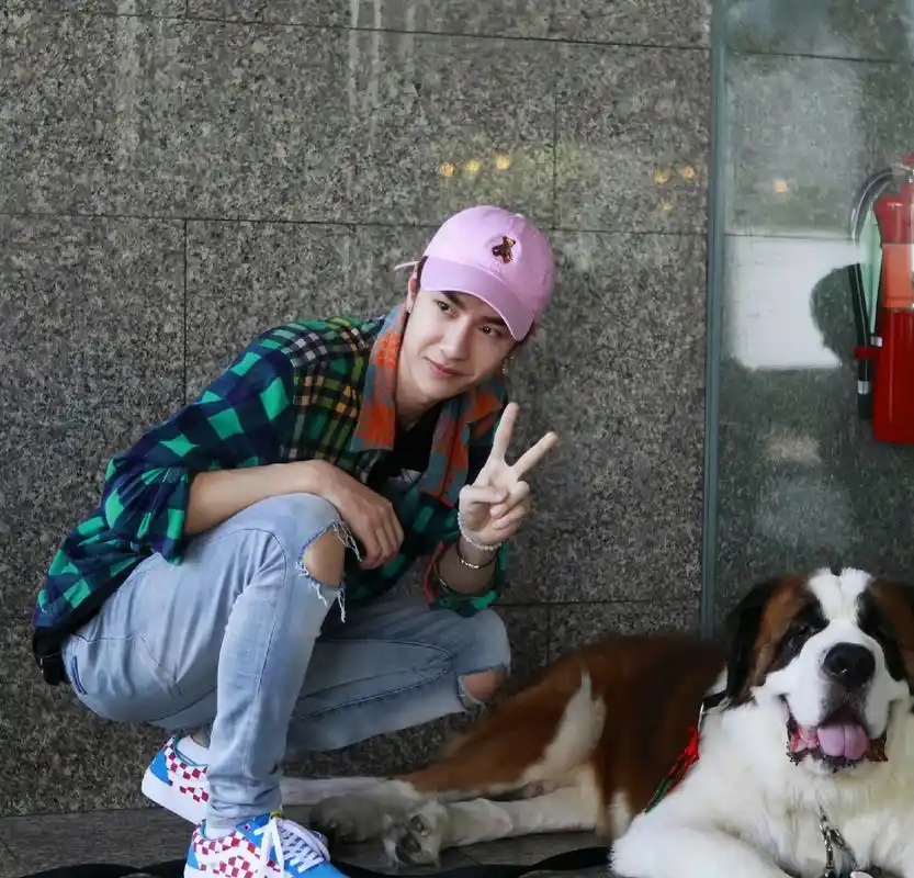 王一博刚出道一年,偶遇一只小狗还可以开心合影.