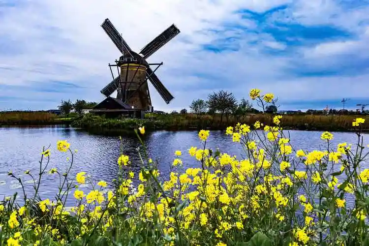 荷兰桑斯安斯风车村壁纸-风景壁纸 - 壁纸家